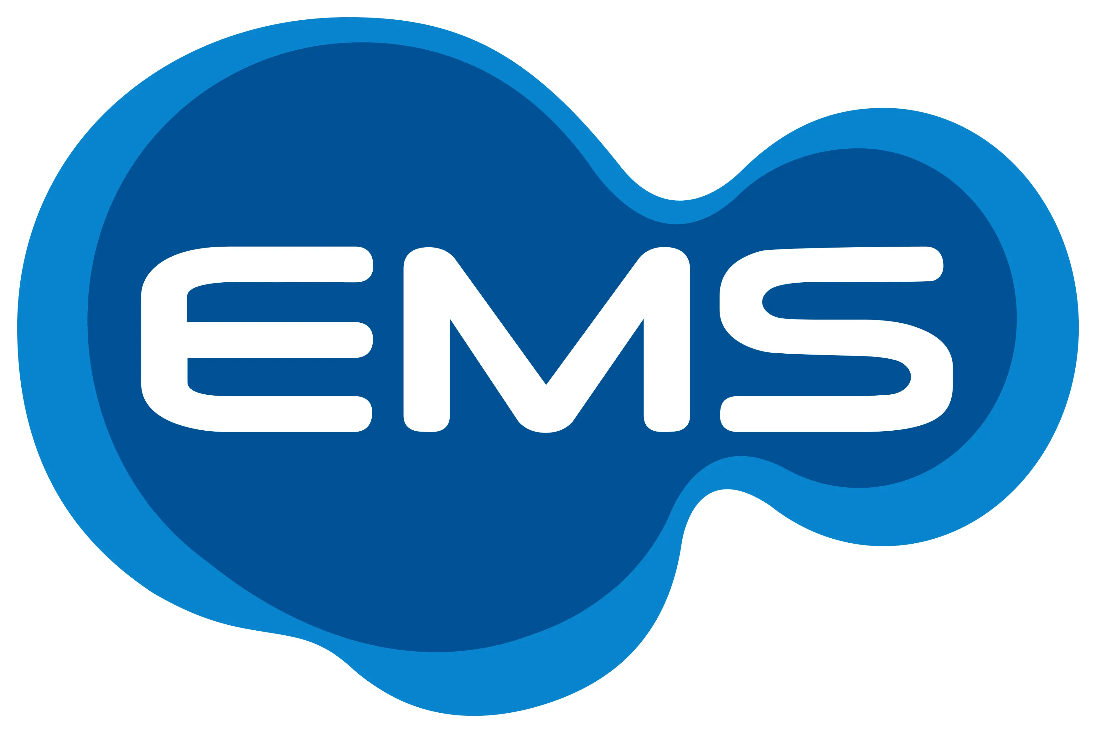 EMS Logo